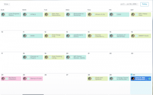 July Overview in Asana