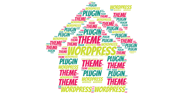 Theme vs Plugin
