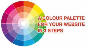 Create a Colour Palette for your Website